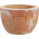 Supreme Poggi Ugo Small Planter Terracotta Accessories