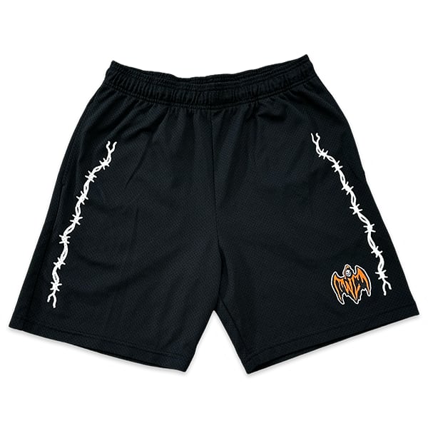 Warren Lotas sold Reaper Shorts